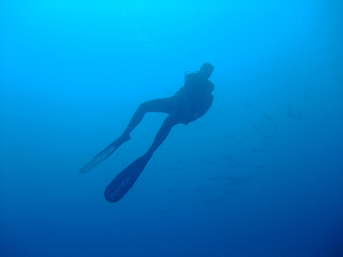 Fuerteventura Diving